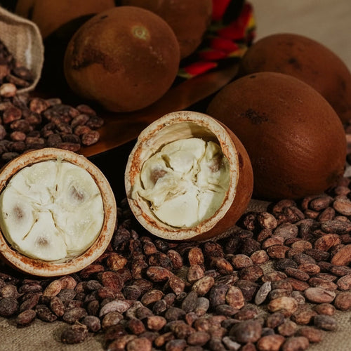 Manteca de copoazú