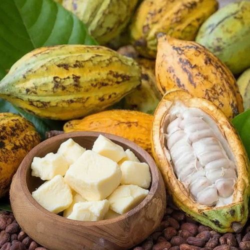 Manteca de cacao